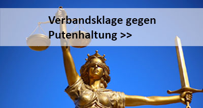 Verbandsklage Putenhaltung